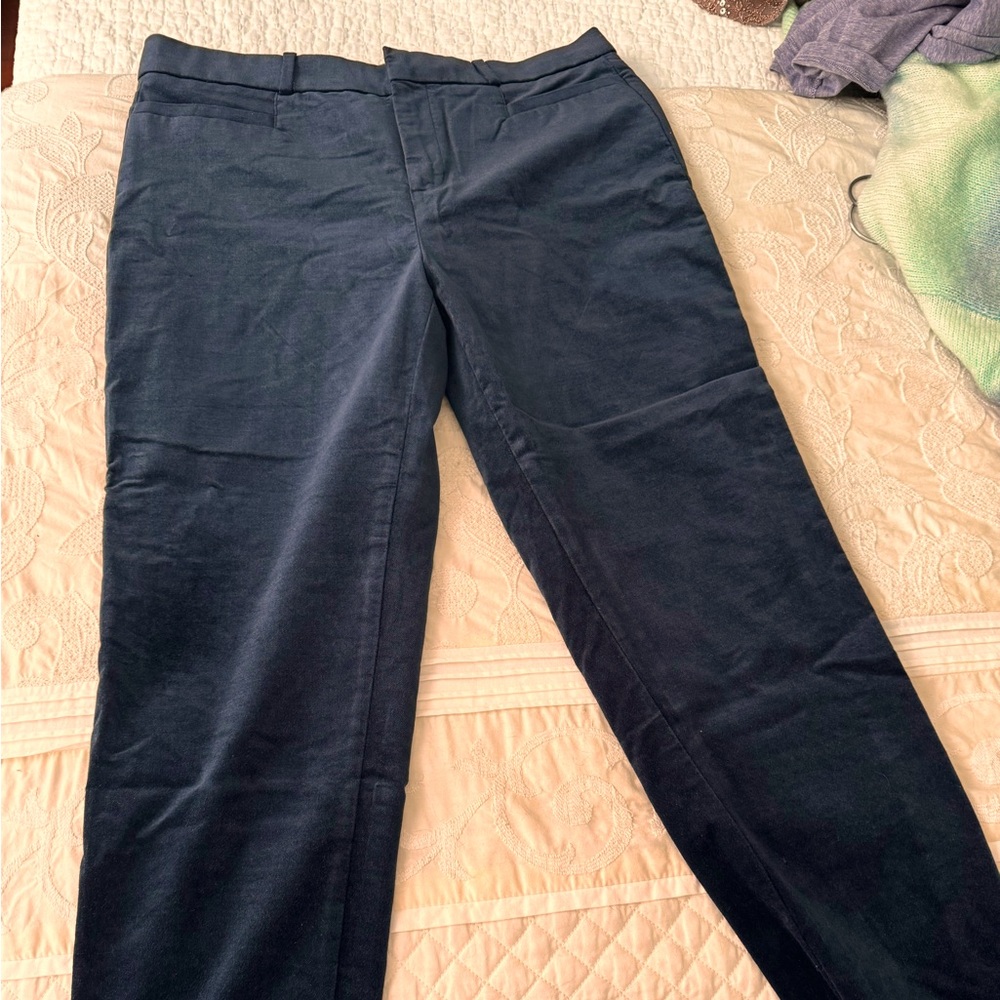 Banana Republic Navy Straight-Leg Trousers